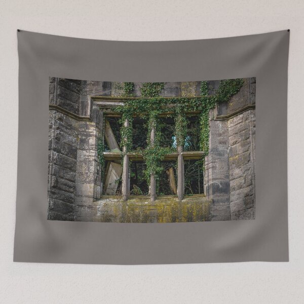 Item preview, An ancient window covered in vegetation, of the historic Castle Saunderson, near Belturbet, County Cavan, Ireland designed and sold by AlbertMi.