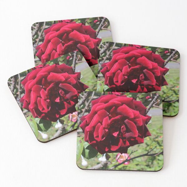 Item preview, Red Rose designed and sold by Kate2895.