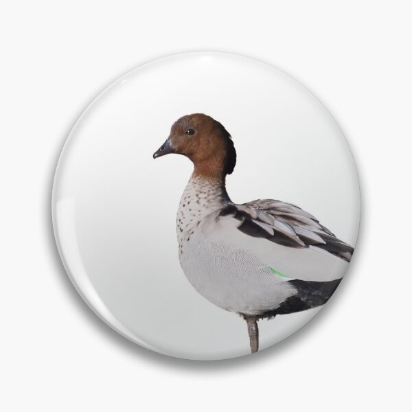 Item preview, Wood duck male standing on one leg designed and sold by hendrikspix.