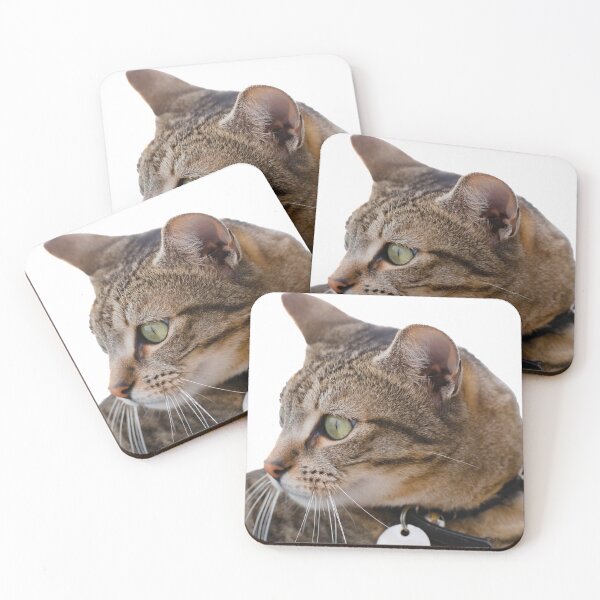 Item preview, Brown cat closeup portrait designed and sold by hendrikspix.