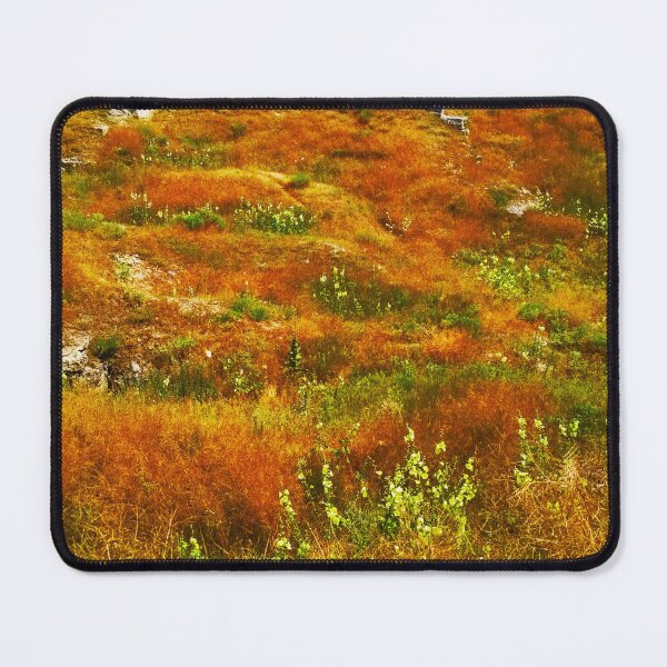 Item preview, Steppe on a summer day, natural background  designed and sold by helenkaiy.