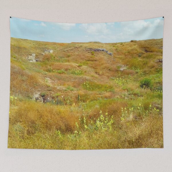 Item preview, Steppe on a summer day, natural background  designed and sold by helenkaiy.
