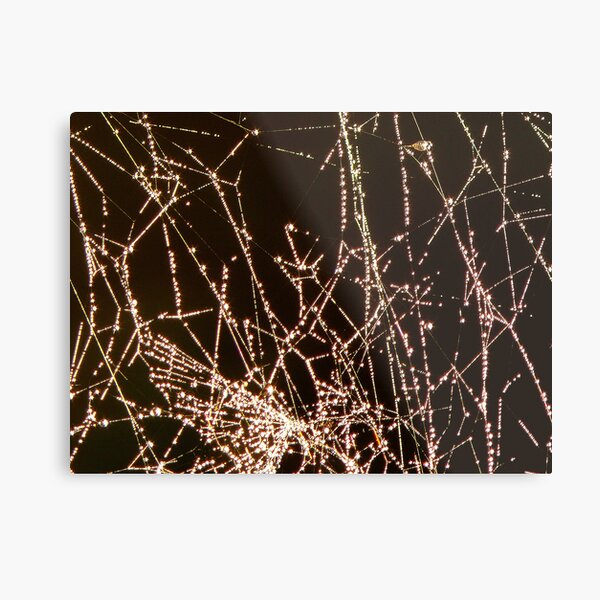 Untitled Metal Print