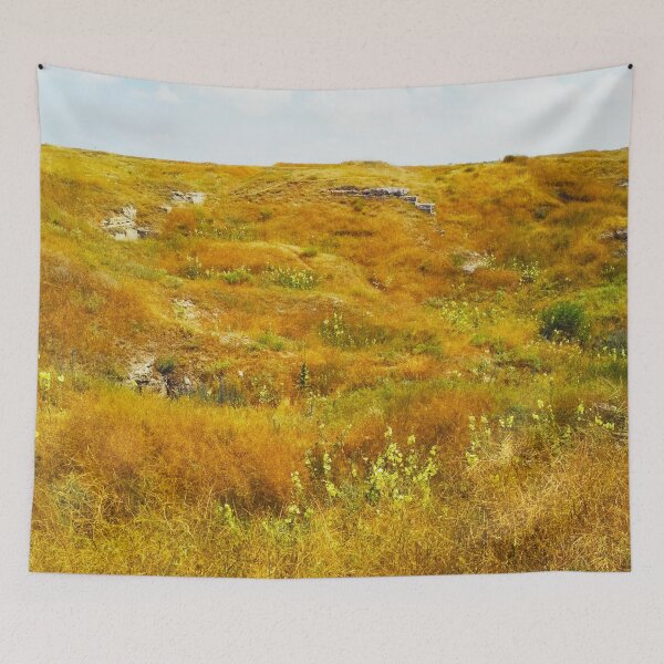 Item preview, Steppe on a summer day, natural background  designed and sold by helenkaiy.