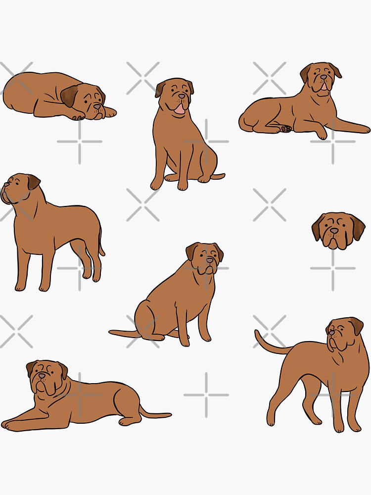 Adesivi Per Vetro Auto In Vinile Prespaziato Mod. Cane A Bordo - Foto 9