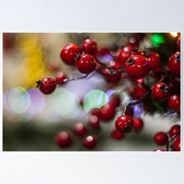 Item preview, Festive Elements 8 designed and sold by Mark Liebenberg.