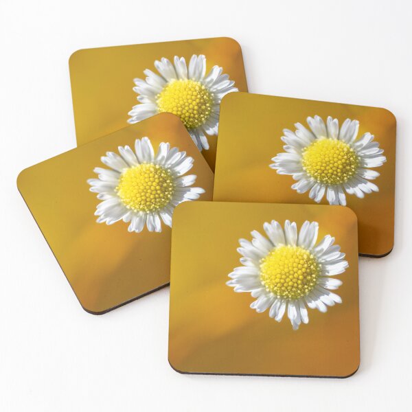 Item preview, Beautiful daisy growing at the forest floor designed and sold by AlbertMi.