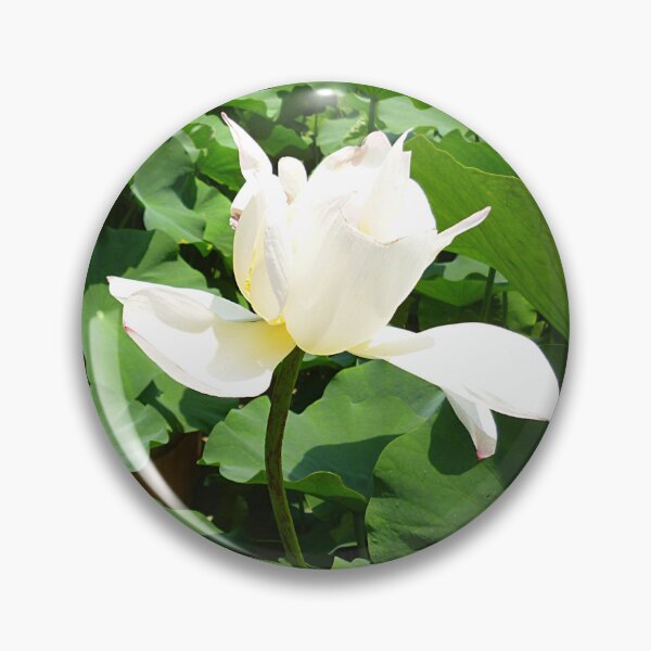 Item preview, White Lotus Flower designed and sold by Birgit Moldenhauer.