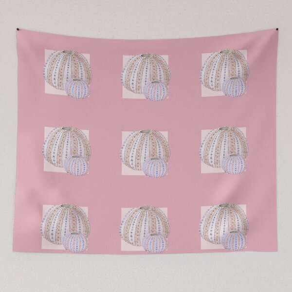 Item preview, Urchins in rose designed and sold by LisaLeQuelenec.