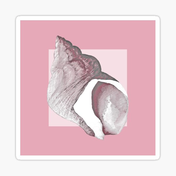 Whelk shell in rose Sticker