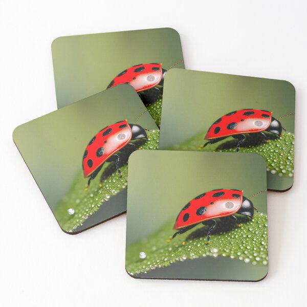 Item preview, Cute Ladybug designed and sold by DoublecrashArt.