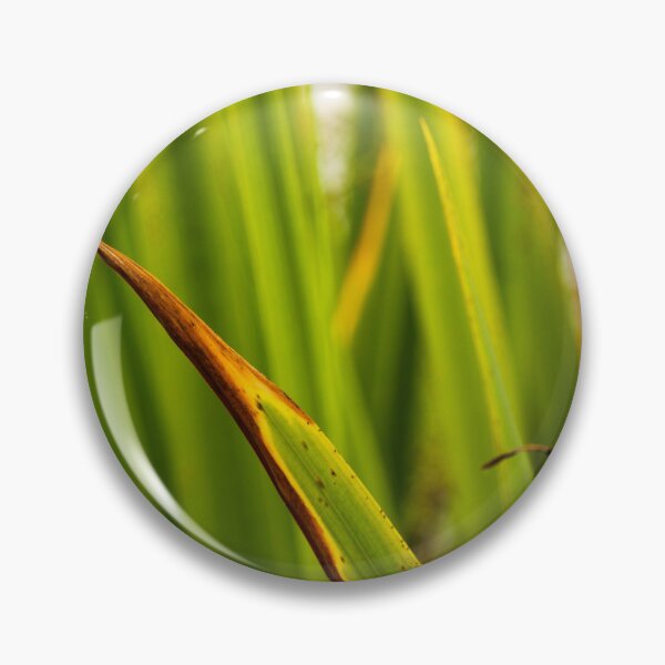 Item preview, Reed grass pond nature lovers Donegal designed and sold by eddiebarronshop.