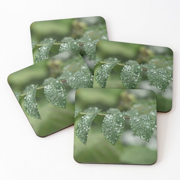 Item preview, Water drops on tree leaves designed and sold by AlbertMi.