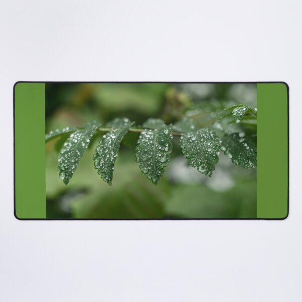 Item preview, Water drops on tree leaves designed and sold by AlbertMi.