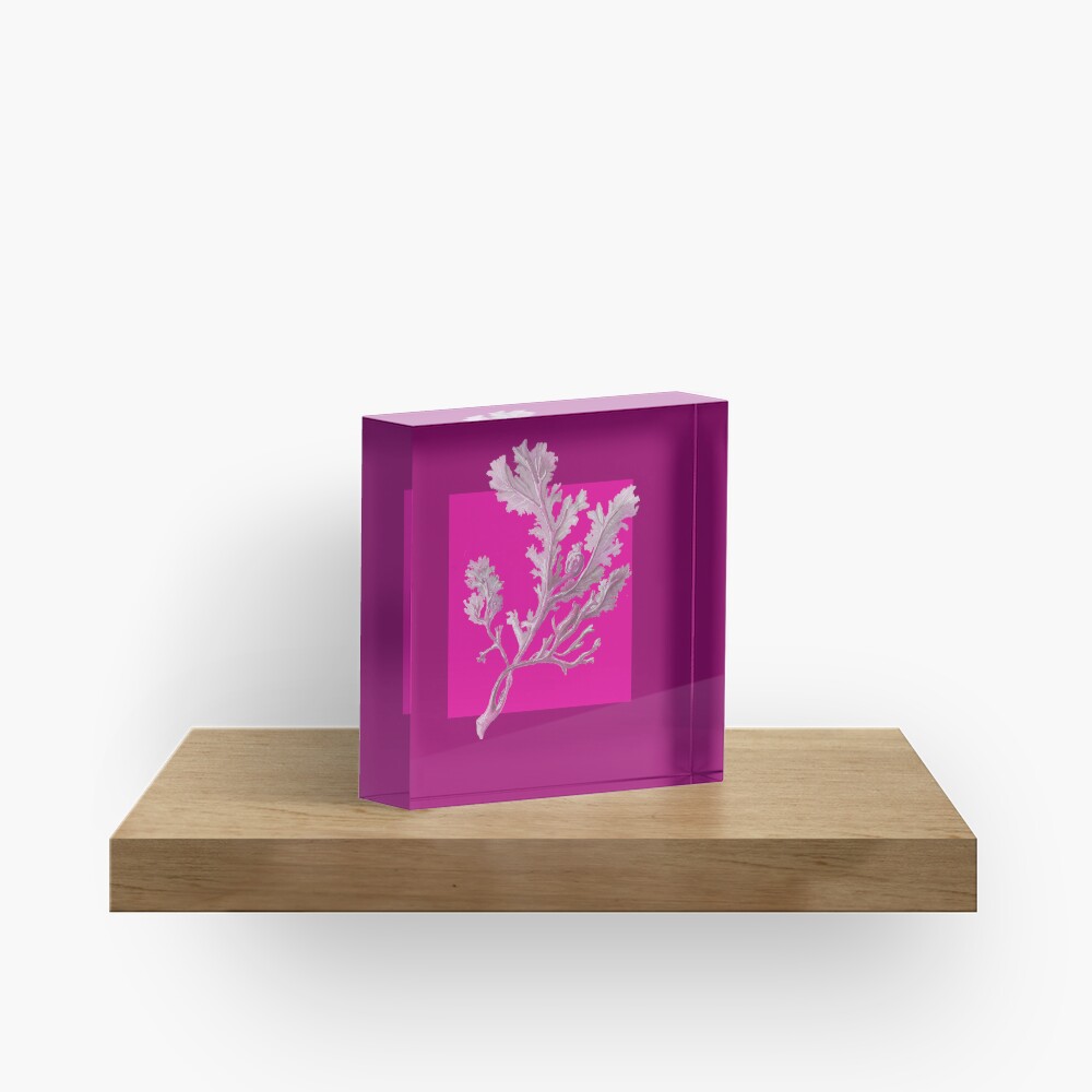 Item preview, Acrylic Block designed and sold by LisaLeQuelenec.