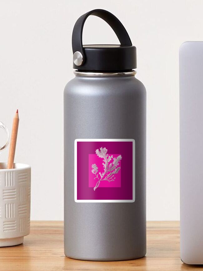 Thumbnail 1 of 3, Sticker, Botanical seaweed in magenta designed and sold by LisaLeQuelenec.