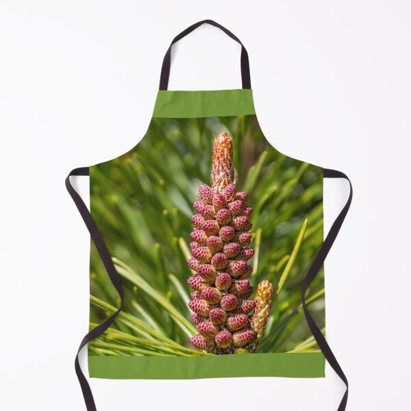 Item preview, A young cone growing on a spruce tree designed and sold by AlbertMi.