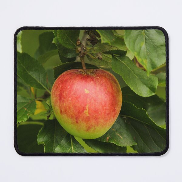 Item preview, Low hanging fruit apple nature lovers designed and sold by eddiebarronshop.