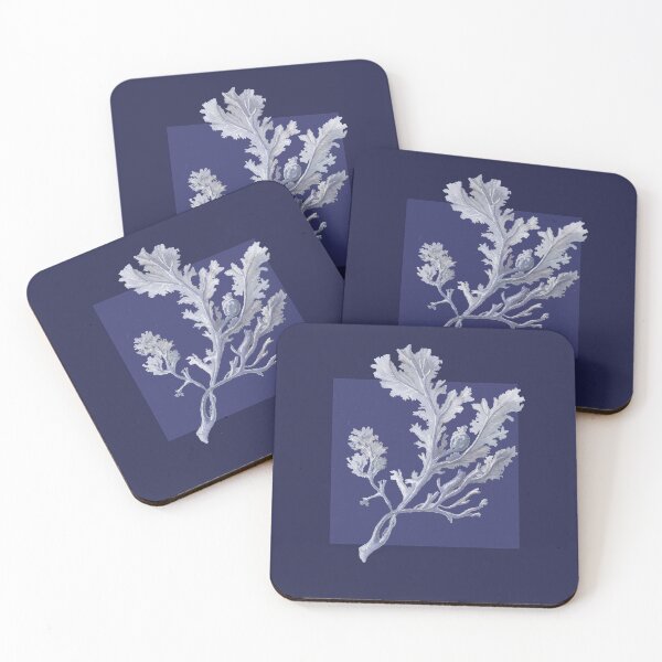 Item preview, Botanical seaweed in navy designed and sold by LisaLeQuelenec.