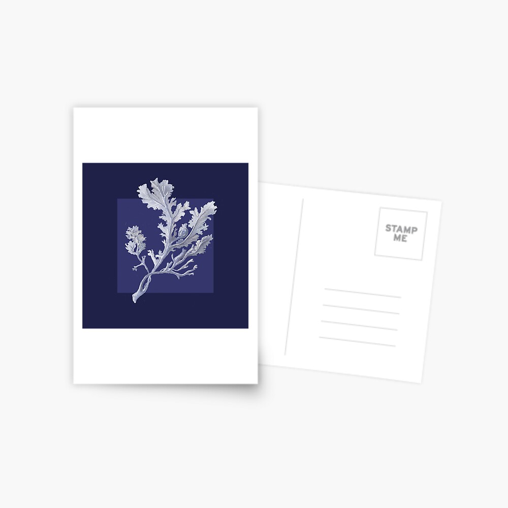 Item preview, Postcard designed and sold by LisaLeQuelenec.