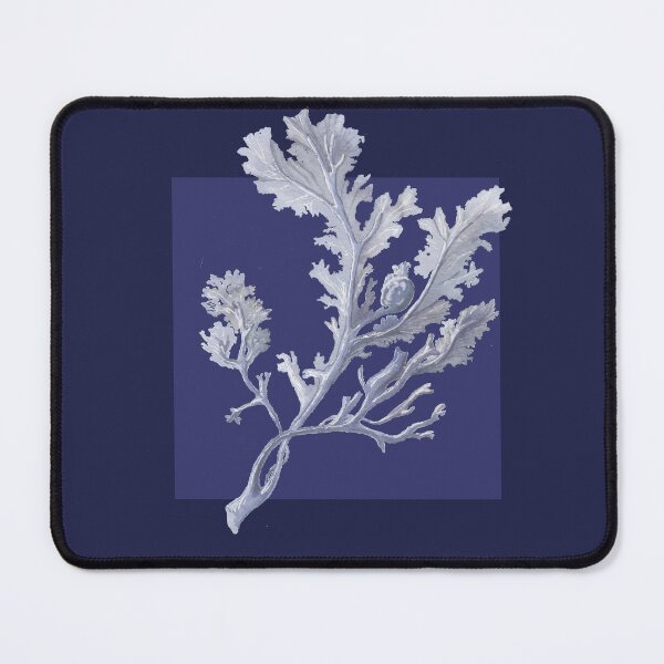 Item preview, Botanical seaweed in navy designed and sold by LisaLeQuelenec.