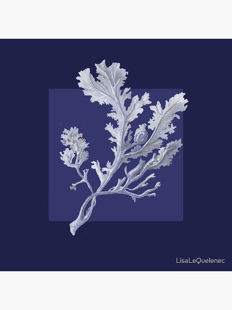 Thumbnail 3 of 3, Sticker, Botanical seaweed in navy designed and sold by LisaLeQuelenec.