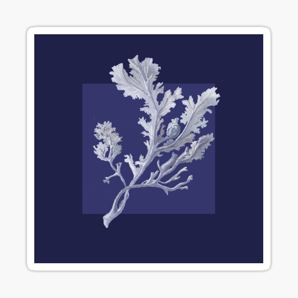 Botanical seaweed in navy Sticker