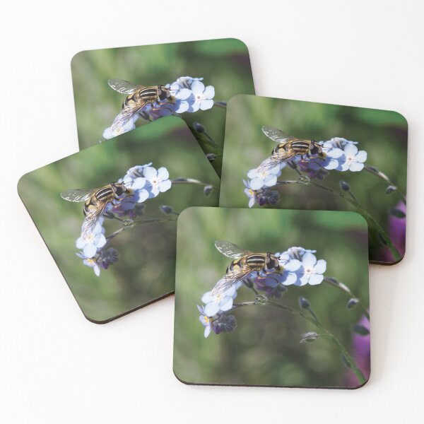Item preview, European Hoverfly designed and sold by Dragonology.