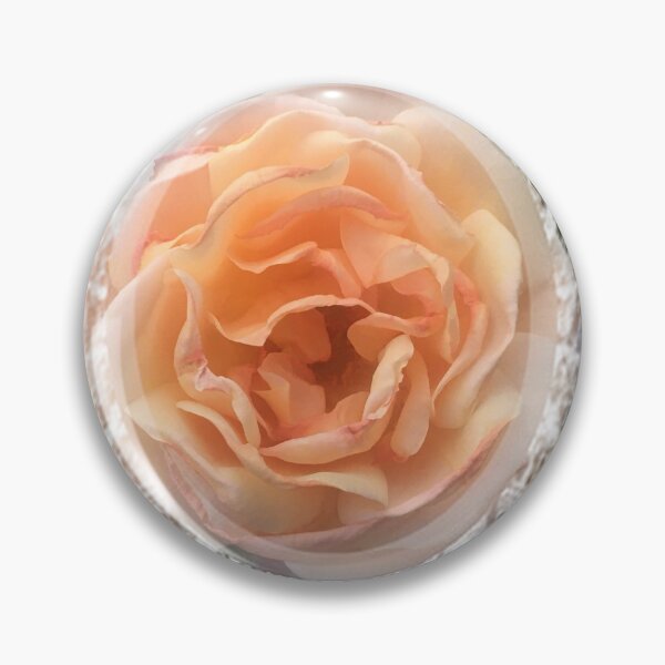 Artikelvorschau, Romantische Aprikosenfarbe Rose mit Spitze von Iritof entworfen und verkauft von iritof.