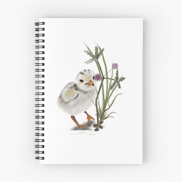 Item preview, Little tern chick designed and sold by WonderWildSG.
