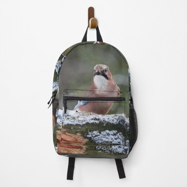 Item preview, These nuts are mine. Eurasian jay designed and sold by Jouko Lehto Photography.