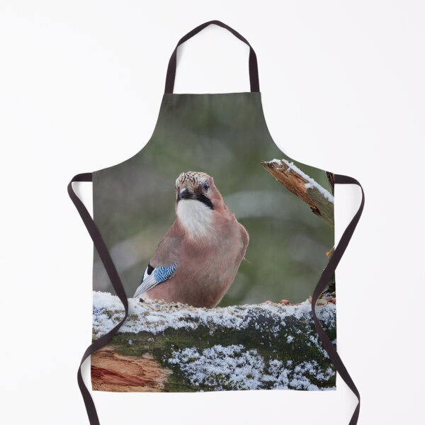 Item preview, These nuts are mine. Eurasian jay designed and sold by Jouko Lehto Photography.