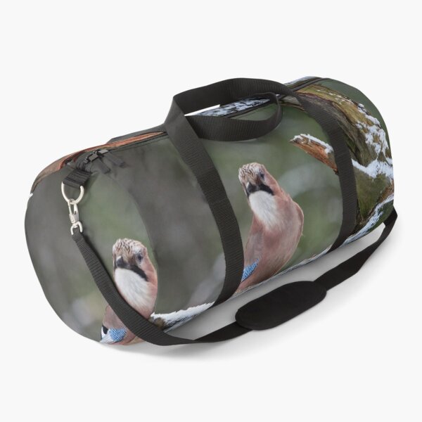 Item preview, These nuts are mine. Eurasian jay designed and sold by Jouko Lehto Photography.