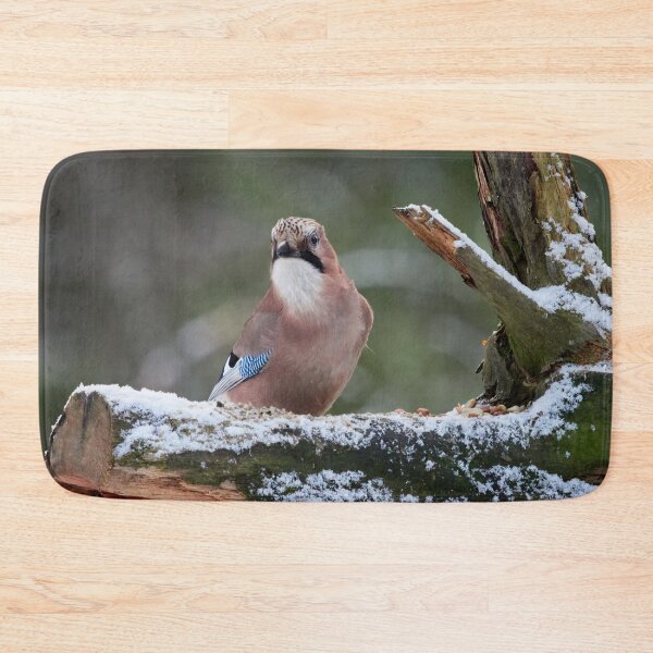 Item preview, These nuts are mine. Eurasian jay designed and sold by Jouko Lehto Photography.
