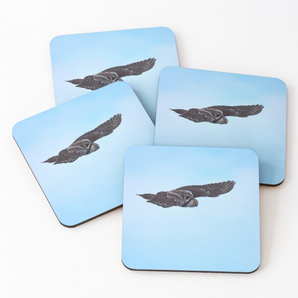 Item preview, Flying trap. Northern hawk-owl designed and sold by Jouko Lehto Photography.