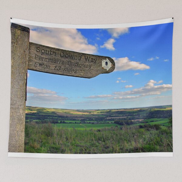 Item preview, South Downs Beacon Hill Hampshire England designed and sold by AndyEvansPhotos.