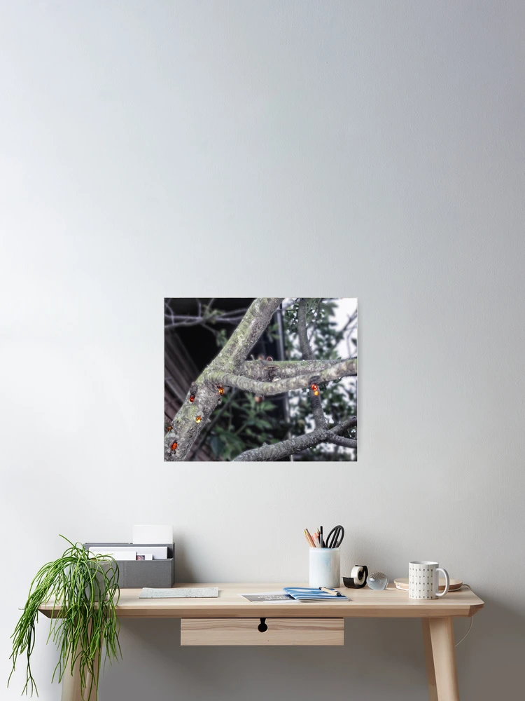 Thumbnail 2 of 3, Poster, Bleeding Tree designed and sold by RoxanneG.
