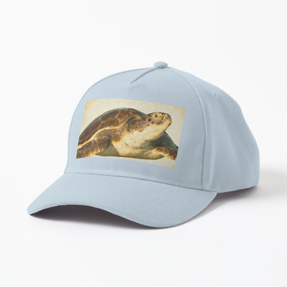 First Turtle Classic Cap - Back in Stock