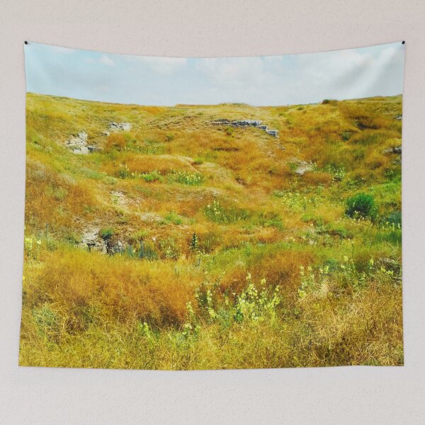 Item preview, Steppe on a summer day, natural background  designed and sold by helenkaiy.
