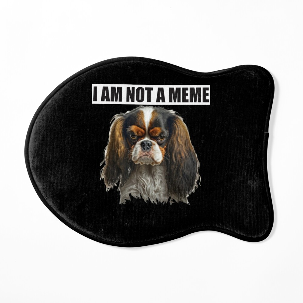 Not a meme, just a dog wearing a hat - Meme by Srsly_Sucks2