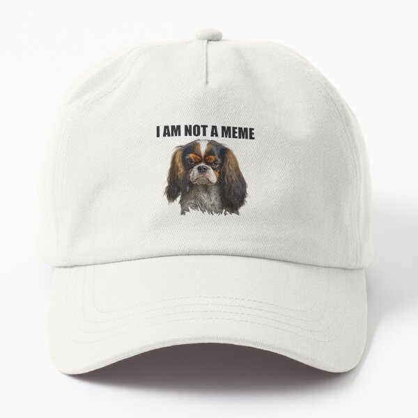 Not a meme, just a dog wearing a hat - Meme by Srsly_Sucks2