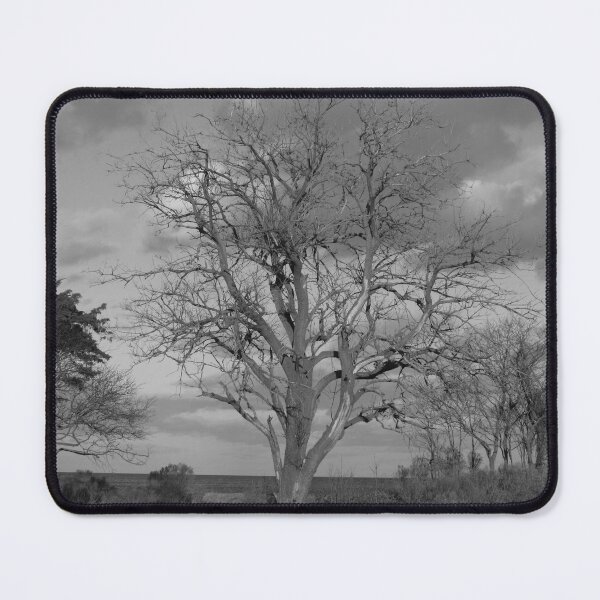 Item preview, A feeling of Emptiness  designed and sold by Tonia Delozier's Photography .