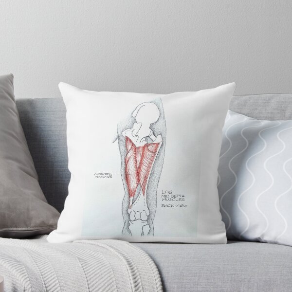 Item preview, Anatomy. Leg mid depth muscles. designed and sold by Tereza Pilar  Art.