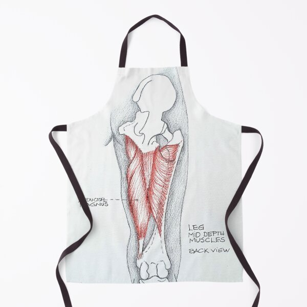 Item preview, Anatomy. Leg mid depth muscles. designed and sold by Tereza Pilar Art.
