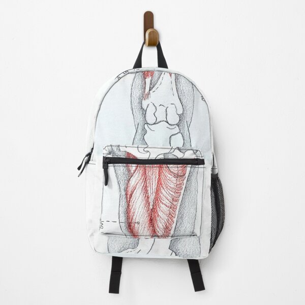 Item preview, Anatomy. Leg mid depth muscles. designed and sold by Tereza Pilar Art.