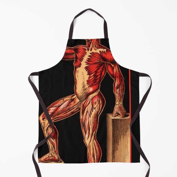 Item preview, Muscle Man from an old Anatomy Chart  designed and sold by Wabojeg.