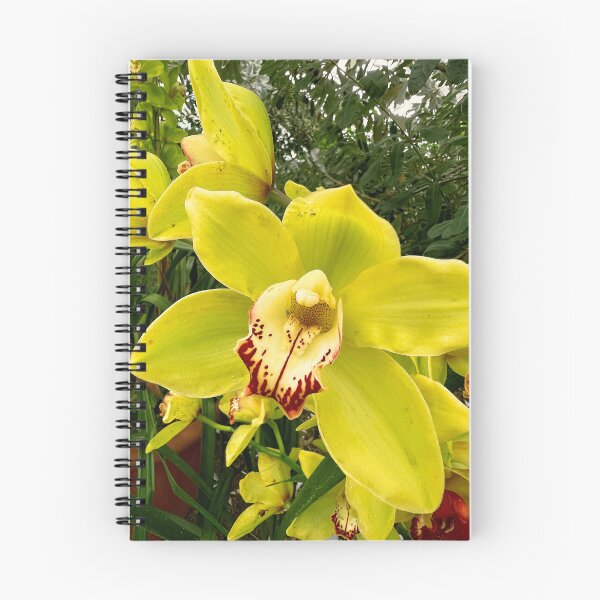Item preview, Yellow Orchids designed and sold by busy-b-life.