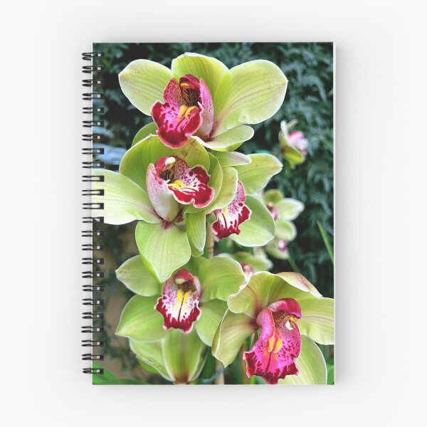 Item preview, Green & Pink Orchids designed and sold by busy-b-life.