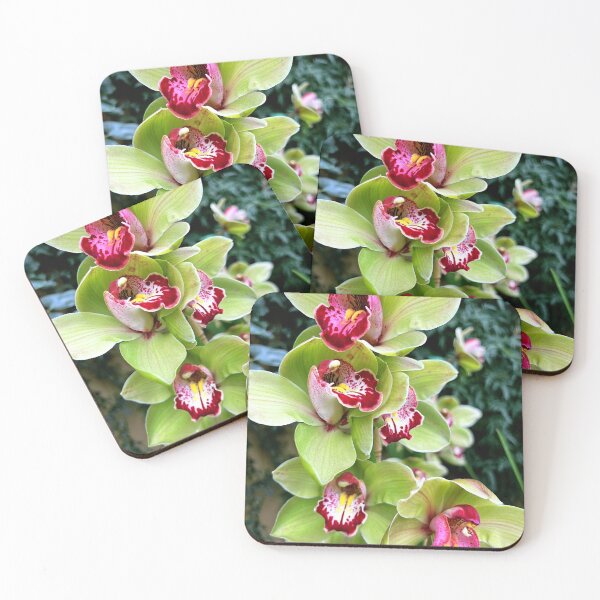 Item preview, Green & Pink Orchids designed and sold by busy-b-life.
