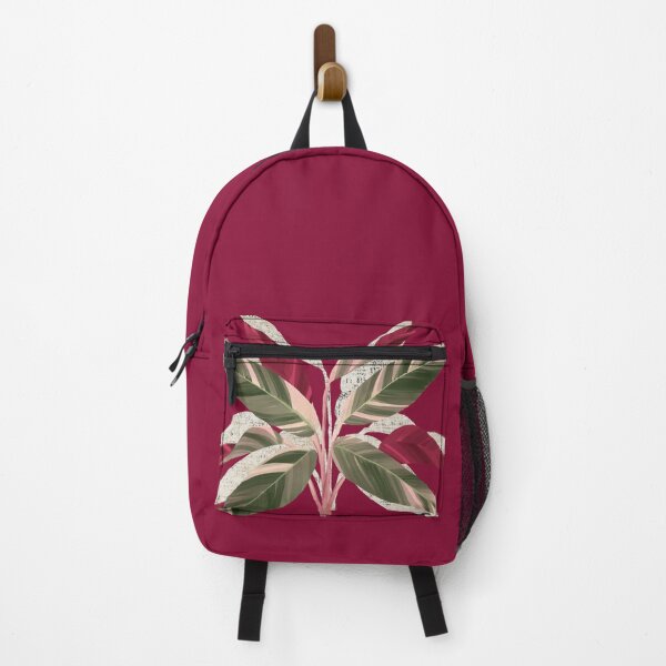 Item preview, Stromanthe thalia 'triostar'  - Botany Black friday designed and sold by Ilustropical.